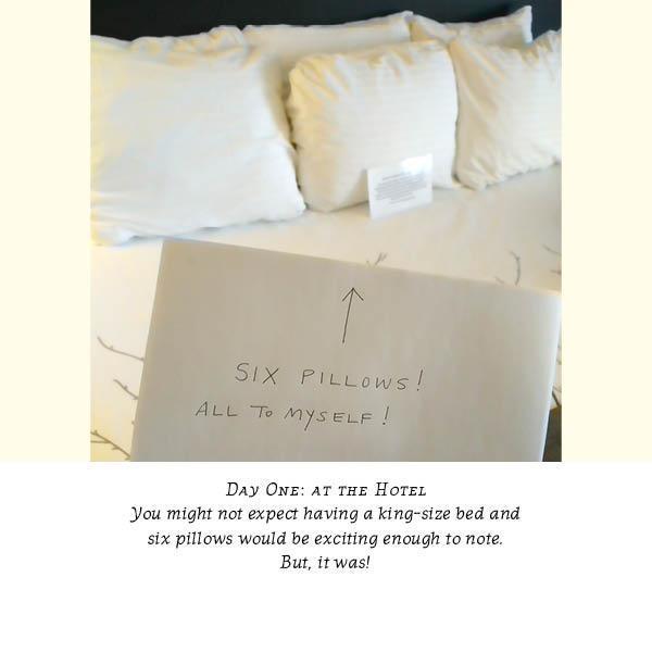 Photo showing hand-held sign pointing to hotel bed with six plush pillows; the sign says "Six pillows! All to myself!"